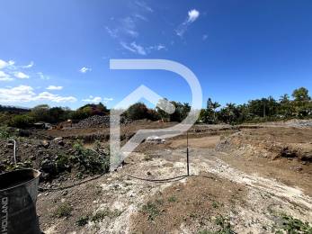 Achat Terrain Saint-Louis (97450) - REUNION