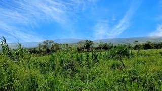 achat terrain à bras-panon (97412)