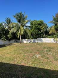 Location  Local Commercial Le Moule (97160) - GUADELOUPE