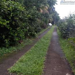 Achat Terrain Bouillante (97125) - GUADELOUPE