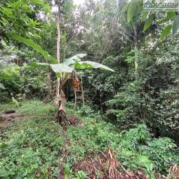 Achat Terrain Bouillante (97125) - GUADELOUPE