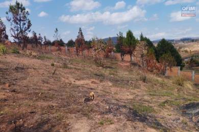 Achat Terrain ANTANANARIVO () - MADAGASCAR