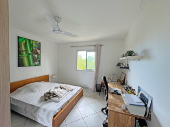 Achat Appartement Saint-Pierre (97410) - REUNION
