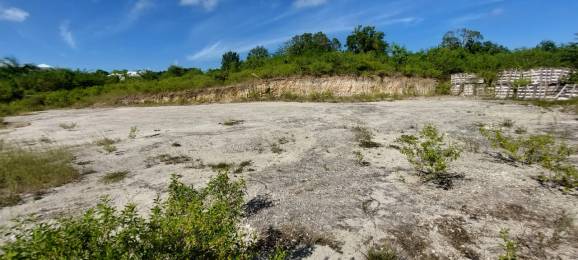 Achat Terrain Saint-François (97118) - GUADELOUPE