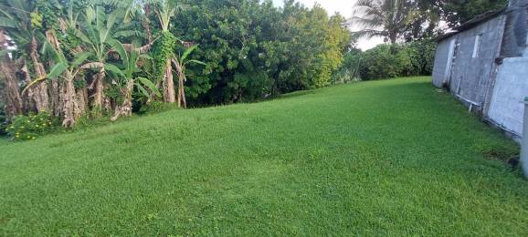 Achat Terrain Le Moule (97160) - GUADELOUPE