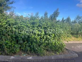 Achat Terrain à Batir Plaine des Cafres (97418) - REUNION