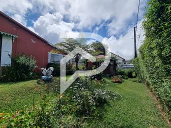 Achat Maison Plaine des Palmistes (97431) - REUNION