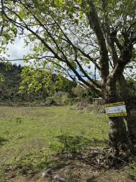 Achat Terrain Plaine des Cafres (97418) - REUNION