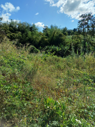 Achat Terrain à Batir Saint-André (97440) - REUNION