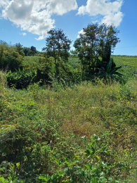 Achat Terrain à Batir Saint-André (97440) - REUNION