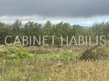 Achat Terrain Plaine des Cafres (97418) - REUNION