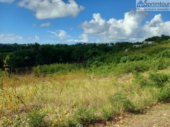 Achat Terrain Saint-François (97118) - GUADELOUPE