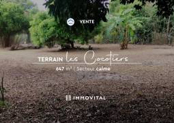 achat terrain à le moule (97160)