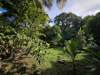 Achat Maison Martinique (972) - MARTINIQUE