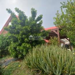 Achat Maison Vieux Habitants (97119) - GUADELOUPE