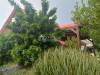 miniature