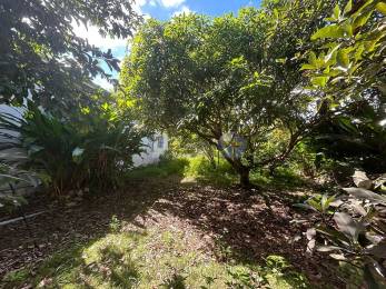 Achat Maison Sainte-Anne (97180) - GUADELOUPE