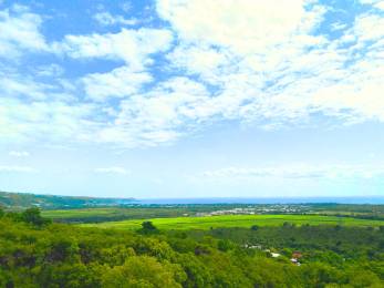 Achat Terrain Mi-pente de l'Ouest (97411) - REUNION