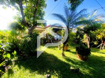 Achat Maison Saint-Pierre (97410) - REUNION