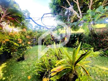 Achat Maison Saint-Pierre (97410) - REUNION