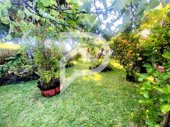 Achat Maison Saint-Pierre (97410) - REUNION