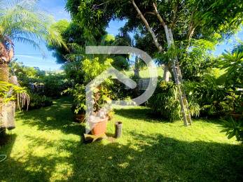 Achat Maison Saint-Pierre (97410) - REUNION