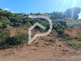 Achat Terrain Tampon (97430) - REUNION