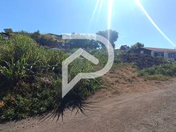 Achat Terrain Tampon (97430) - REUNION