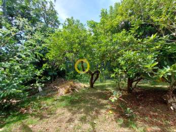 Achat Maison Saint-Joseph (97480) - REUNION