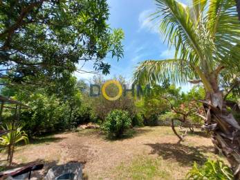 Achat Maison Saint-Joseph (97480) - REUNION