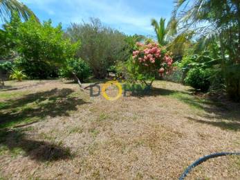 Achat Maison Saint-Joseph (97480) - REUNION