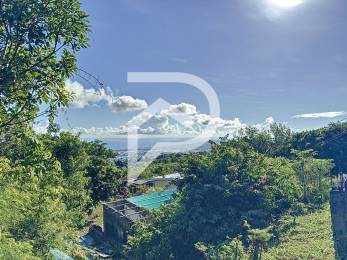 Achat Terrain Saint-Denis (97400) - REUNION