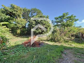 Achat Terrain Saint-Denis (97400) - REUNION
