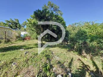 Achat Terrain Saint-Denis (97400) - REUNION