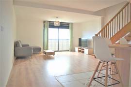 achat duplex à sainte-clotilde (97490)