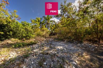 Achat Terrain Saint-Paul (97460) - REUNION