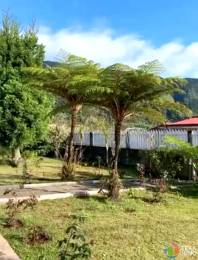 Achat Maison Plaine des Palmistes (97431) - REUNION