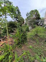 Achat Terrain Saint-André (97440) - REUNION