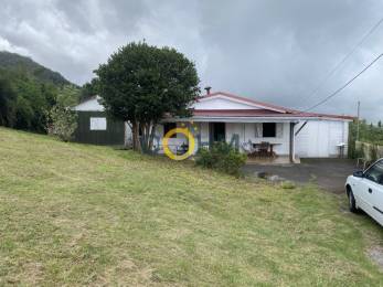 Achat Maison Plaine des Cafres (97418) - REUNION