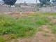 miniature