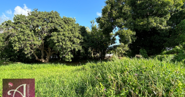 sous compromis ! grand terrain plat vue degagee sur la nature a baie-mahault