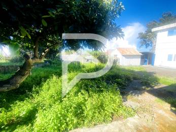 Achat Maison Plaine des Cafres (97418) - REUNION