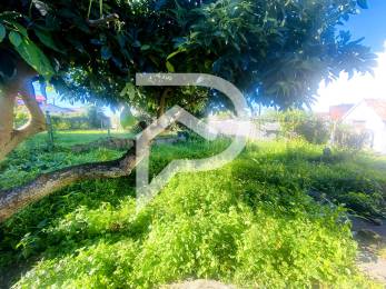Achat Maison Plaine des Cafres (97418) - REUNION