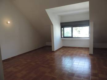 Location Appartement Saint-Pierre (97410) - REUNION