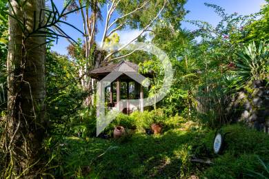 Achat Maison Petite Ile (97429) - REUNION