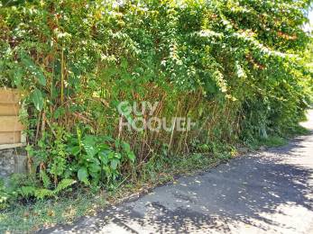 Achat Terrain Tampon (97430) - REUNION