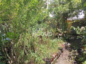 Achat Terrain Tampon (97430) - REUNION