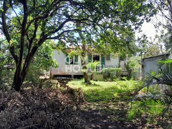 Achat Maison Saint-Benoît (97470) - REUNION