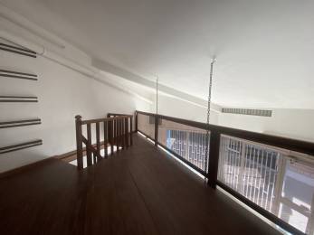 Location  Local Commercial Basse Terre (97100) - GUADELOUPE