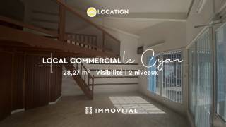 location local commercial à basse terre (97100)